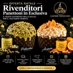 offerta natale 2026 panettoni artigianali